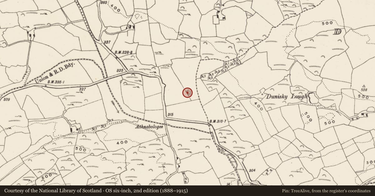 Ordnance Survey six-inch map, 2nd edition (1888–1915) covering the location of Barrow - ring-barrow, Tooms East, County Cork, with a pin at the register's coordinates