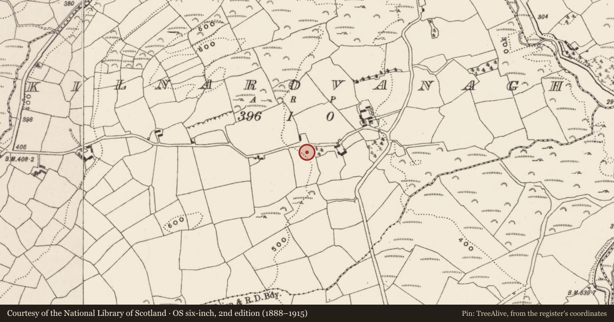 Ordnance Survey six-inch map, 2nd edition (1888–1915) covering the location of Standing stone, Kilnarovanagh, County Cork, with a pin at the register's coordinates