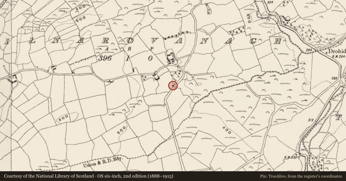 Ordnance Survey six-inch map, 2nd edition (1888–1915) covering the location of Burial ground, Kilnarovanagh, County Cork, with a pin at the register's coordinates