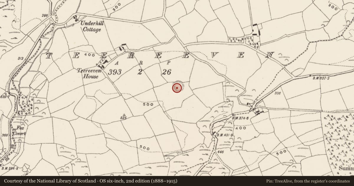 Ordnance Survey six-inch map, 2nd edition (1888–1915) covering the location of Ringfort - rath, Teereeven, County Cork, with a pin at the register's coordinates