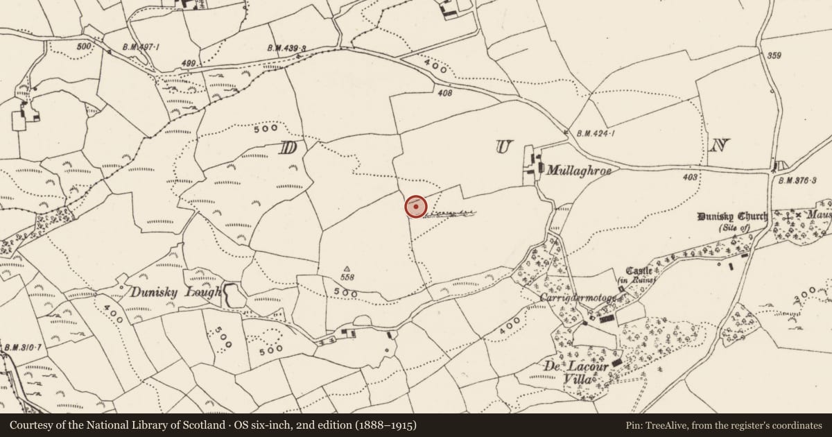 Ordnance Survey six-inch map, 2nd edition (1888–1915) covering the location of Burial ground, Dunisky, County Cork, with a pin at the register's coordinates