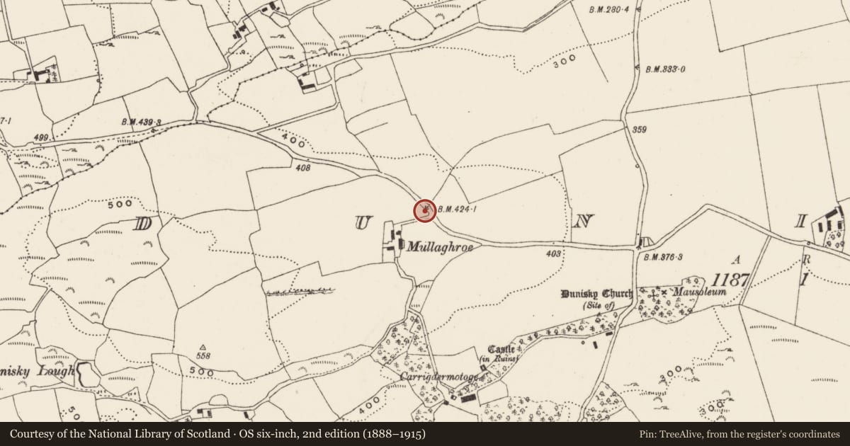 Ordnance Survey six-inch map, 2nd edition (1888–1915) covering the location of Inscribed stone, Dunisky, County Cork, with a pin at the register's coordinates