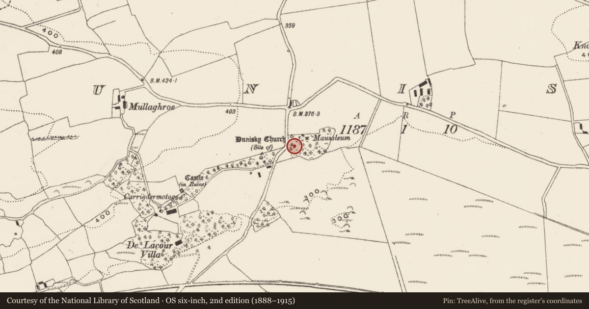 Ordnance Survey six-inch map, 2nd edition (1888–1915) covering the location of Graveyard, Dunisky, County Cork, with a pin at the register's coordinates