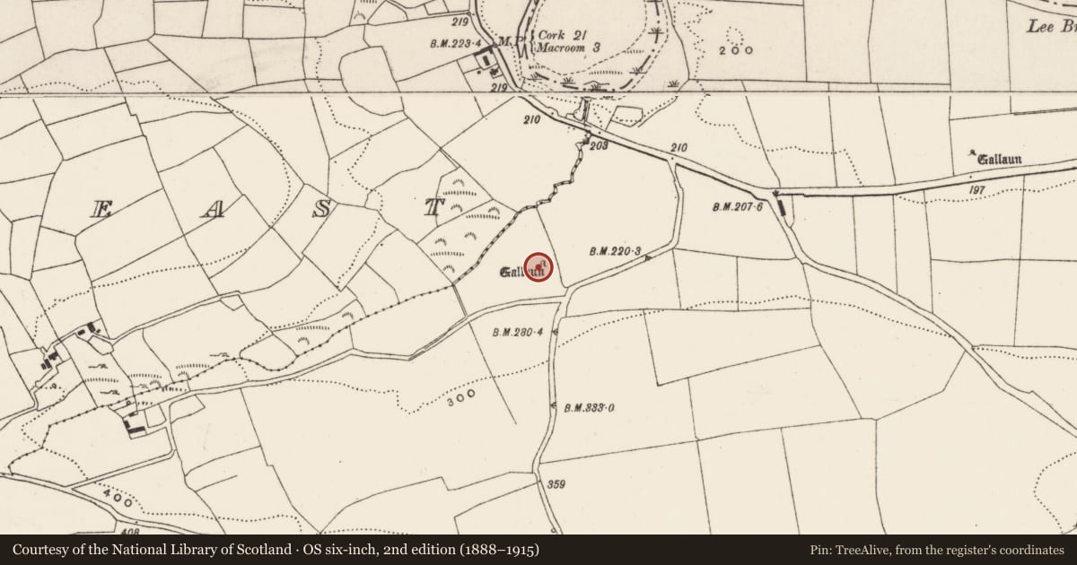 Ordnance Survey six-inch map, 2nd edition (1888–1915) covering the location of Standing stone, Dunisky, County Cork, with a pin at the register's coordinates