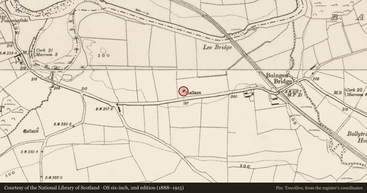 Ordnance Survey six-inch map, 2nd edition (1888–1915) covering the location of Standing stone, Dunisky, County Cork, with a pin at the register's coordinates