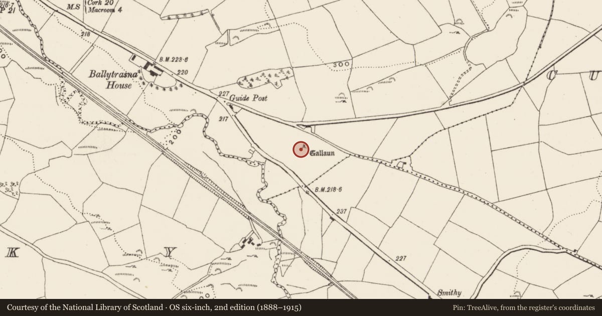 Ordnance Survey six-inch map, 2nd edition (1888–1915) covering the location of Standing stone, Ballytrasna, County Cork, with a pin at the register's coordinates