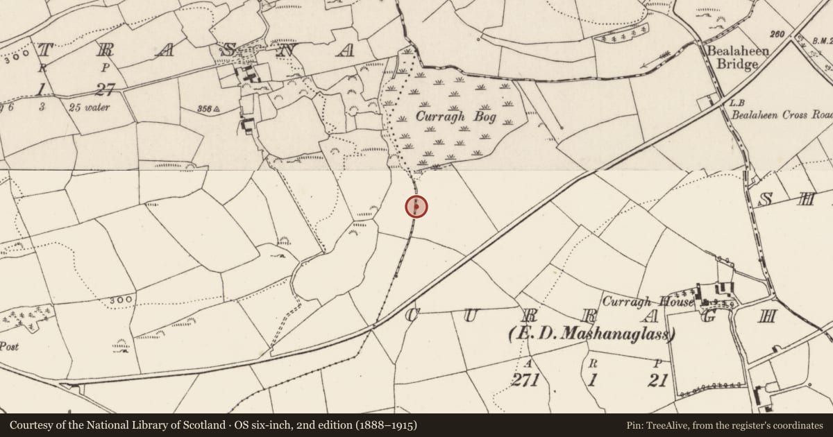 Ordnance Survey six-inch map, 2nd edition (1888–1915) covering the location of Fulacht fia, Curragh (Muskerry West By., Kilmurry Par.), County Cork, with a pin at the register's coordinates