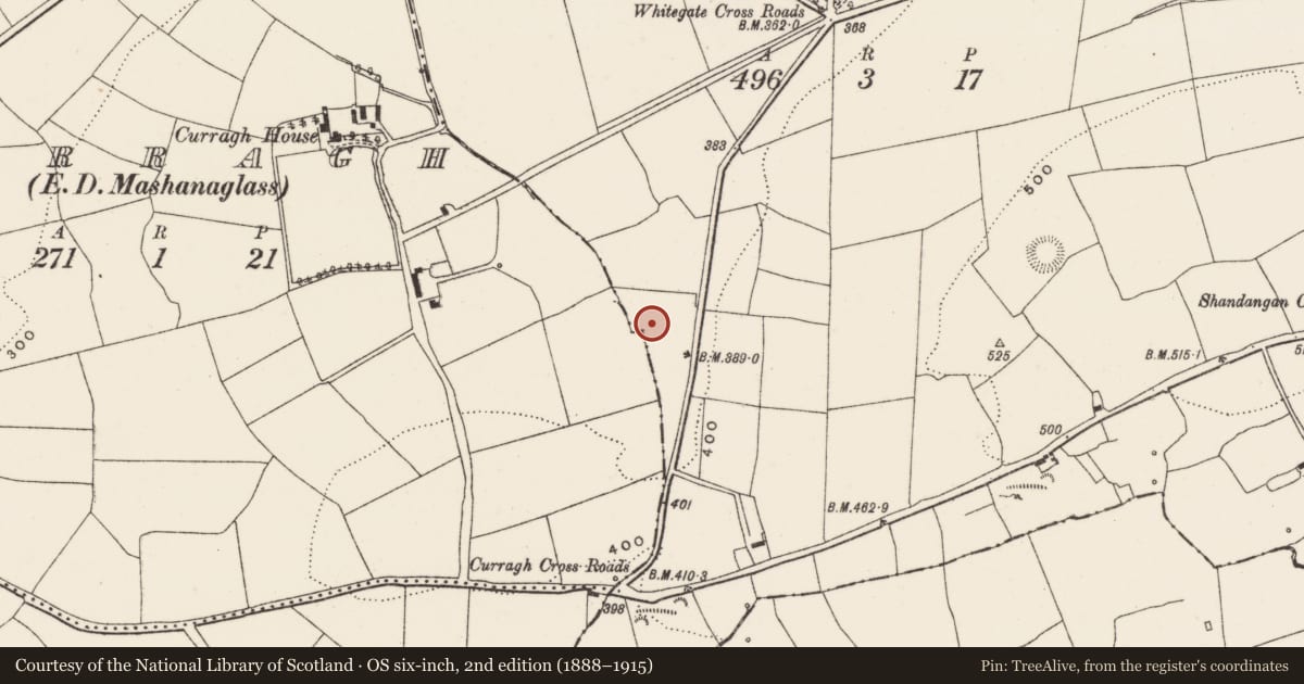 Ordnance Survey six-inch map, 2nd edition (1888–1915) covering the location of Fulacht fia, Shandangan West, County Cork, with a pin at the register's coordinates