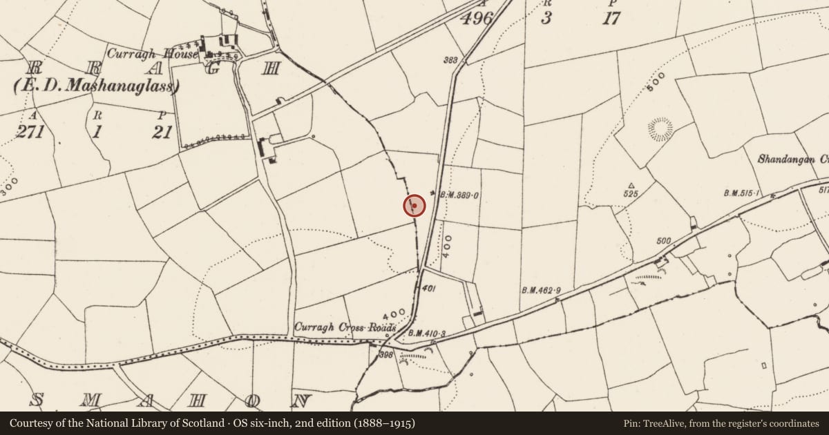Ordnance Survey six-inch map, 2nd edition (1888–1915) covering the location of Fulacht fia, Shandangan West, County Cork, with a pin at the register's coordinates