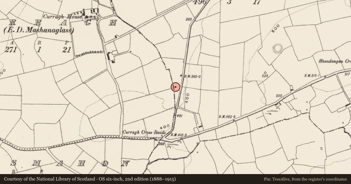 Ordnance Survey six-inch map, 2nd edition (1888–1915) covering the location of Fulacht fia, Shandangan West, County Cork, with a pin at the register's coordinates