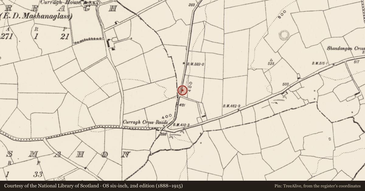 Ordnance Survey six-inch map, 2nd edition (1888–1915) covering the location of Fulacht fia, Shandangan West, County Cork, with a pin at the register's coordinates