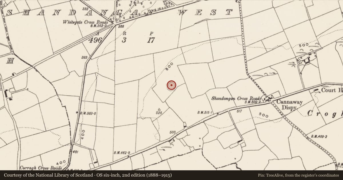 Ordnance Survey six-inch map, 2nd edition (1888–1915) covering the location of Ringfort - rath, Shandangan West, County Cork, with a pin at the register's coordinates