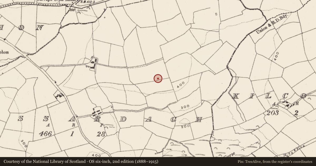 Ordnance Survey six-inch map, 2nd edition (1888–1915) covering the location of Souterrain, Lissardagh, County Cork, with a pin at the register's coordinates