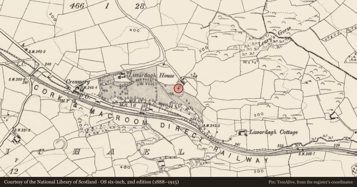 Ordnance Survey six-inch map, 2nd edition (1888–1915) covering the location of Country house, Lissardagh, County Cork, with a pin at the register's coordinates