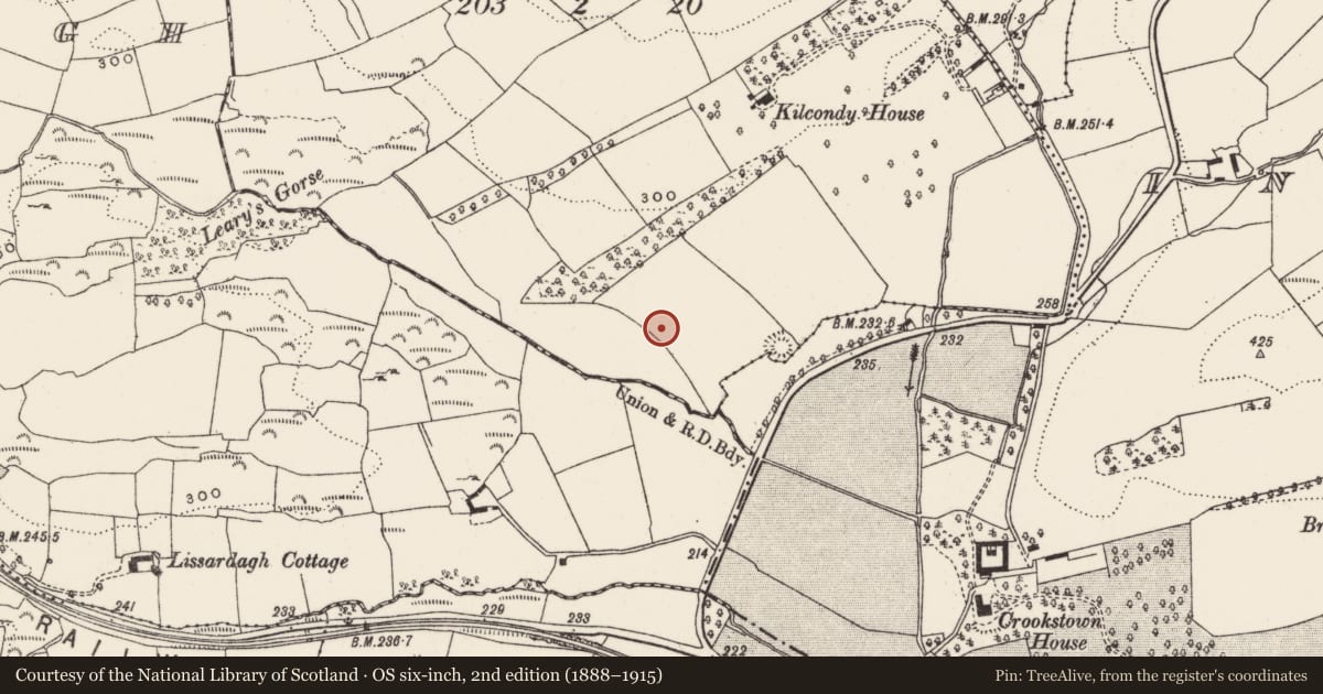 Ordnance Survey six-inch map, 2nd edition (1888–1915) covering the location of Souterrain, Kilcondy, County Cork, with a pin at the register's coordinates