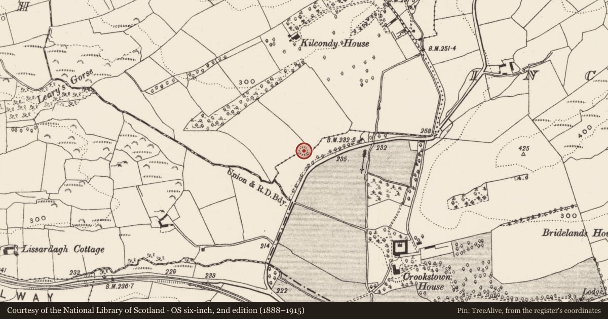 Ordnance Survey six-inch map, 2nd edition (1888–1915) covering the location of Ringfort - rath, Kilcondy, County Cork, with a pin at the register's coordinates