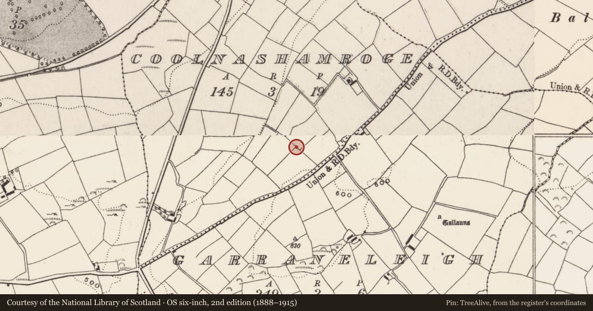 Ordnance Survey six-inch map, 2nd edition (1888–1915) covering the location of Standing stone, Coolnashamroge, County Cork, with a pin at the register's coordinates