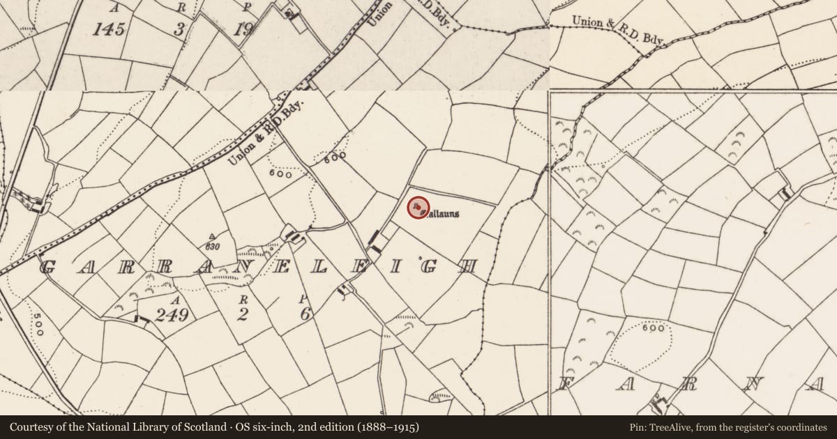 Ordnance Survey six-inch map, 2nd edition (1888–1915) covering the location of Standing stone - pair, Garraneleigh, County Cork, with a pin at the register's coordinates
