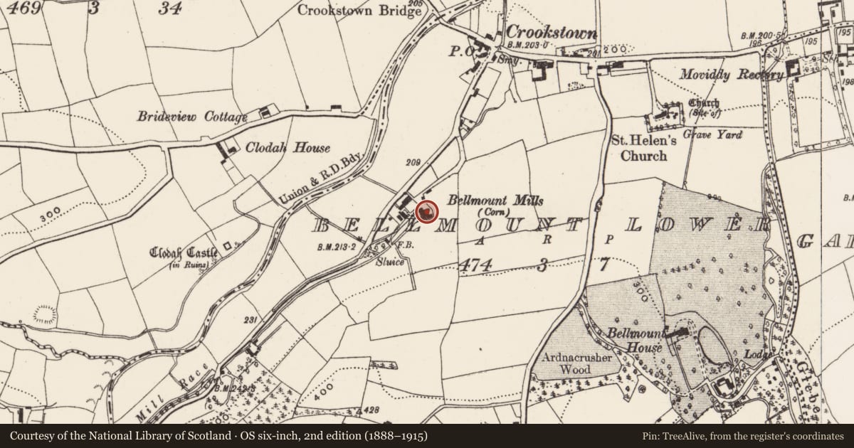 Ordnance Survey six-inch map, 2nd edition (1888–1915) covering the location of Mill - corn, Bellmount Lower, County Cork, with a pin at the register's coordinates