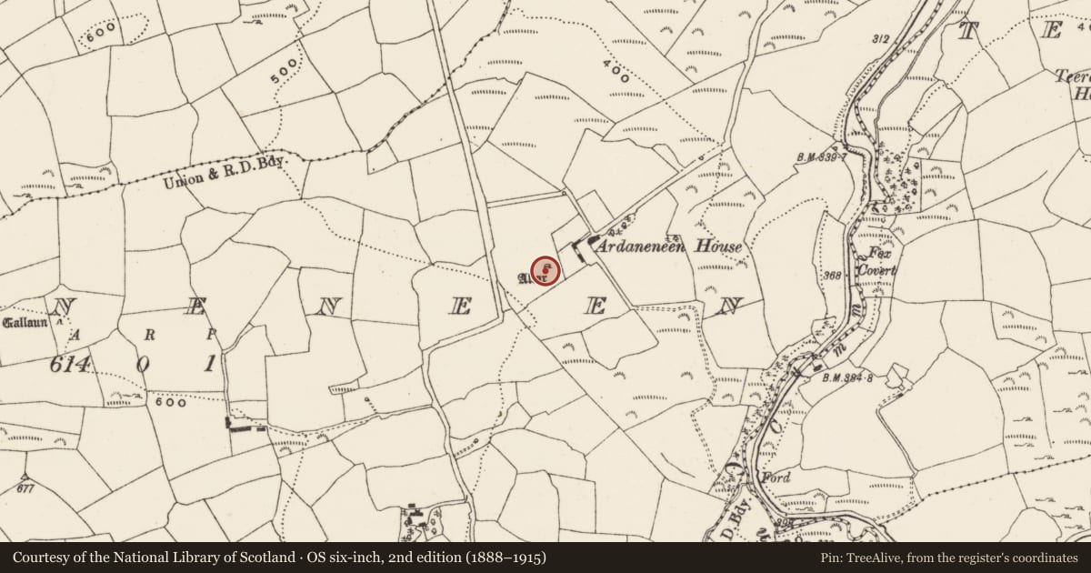 Ordnance Survey six-inch map, 2nd edition (1888–1915) covering the location of Boulder-burial, Ardaneneen, County Cork, with a pin at the register's coordinates
