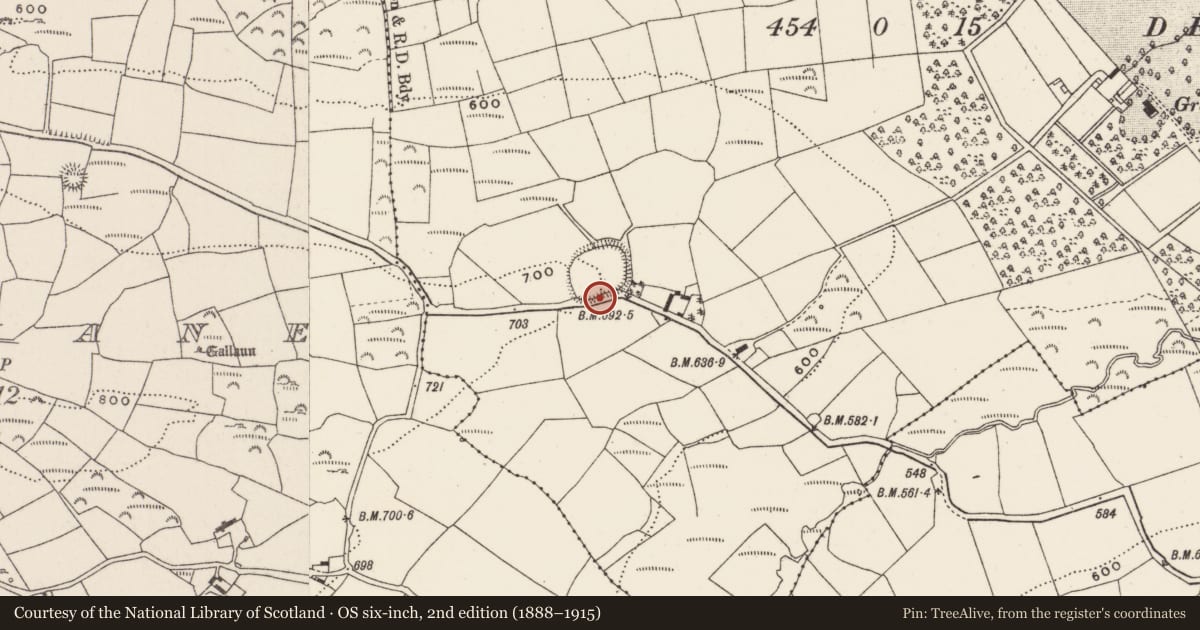 Ordnance Survey six-inch map, 2nd edition (1888–1915) covering the location of Souterrain, Greenville, County Cork, with a pin at the register's coordinates