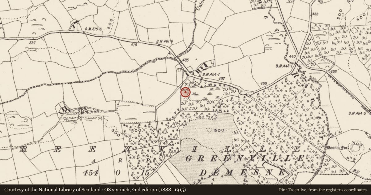 Ordnance Survey six-inch map, 2nd edition (1888–1915) covering the location of Dam, Greenville, County Cork, with a pin at the register's coordinates