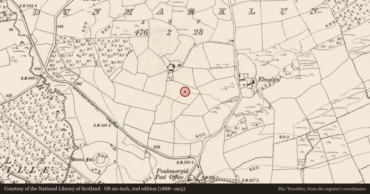 Ordnance Survey six-inch map, 2nd edition (1888–1915) covering the location of Ringfort - rath, Dunmarklun, County Cork, with a pin at the register's coordinates