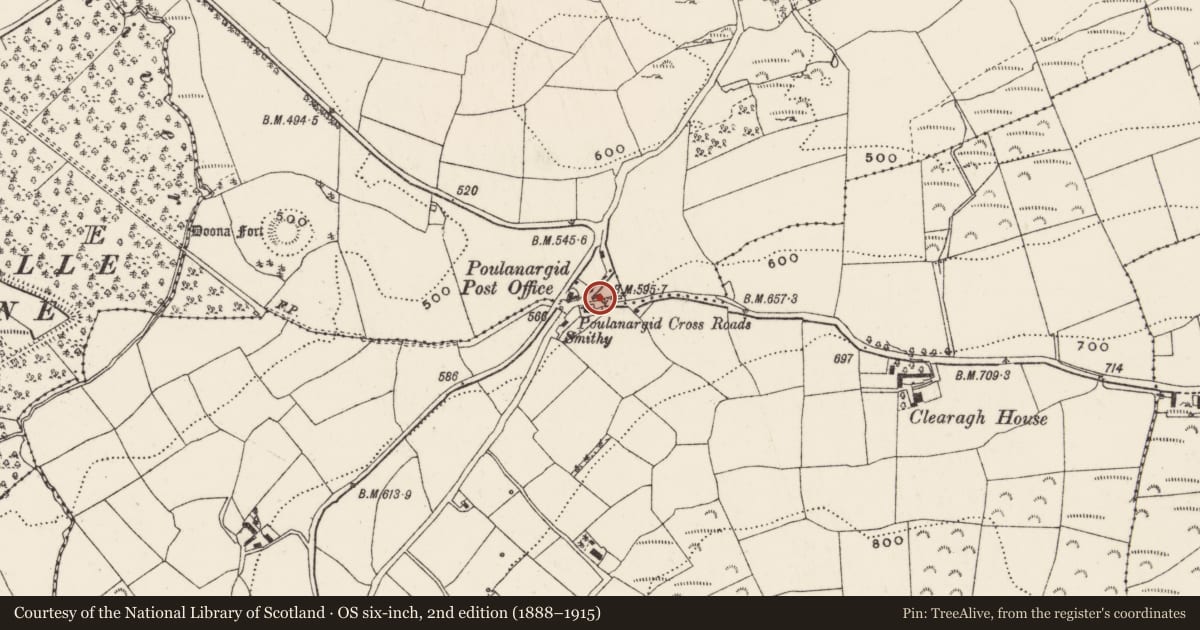 Ordnance Survey six-inch map, 2nd edition (1888–1915) covering the location of Standing stone, Clearagh, County Cork, with a pin at the register's coordinates