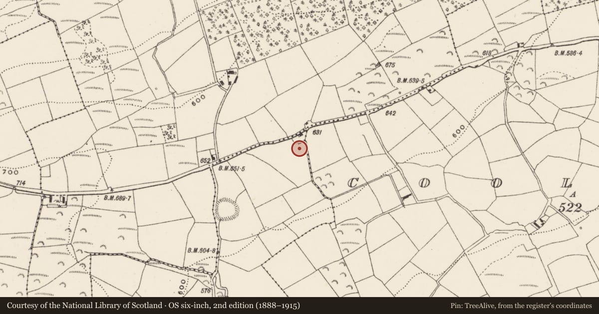 Ordnance Survey six-inch map, 2nd edition (1888–1915) covering the location of Fulacht fia, Knockacareigh, County Cork, with a pin at the register's coordinates