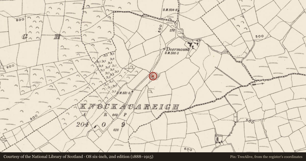 Ordnance Survey six-inch map, 2nd edition (1888–1915) covering the location of Ringfort - rath, Knockacareigh, County Cork, with a pin at the register's coordinates