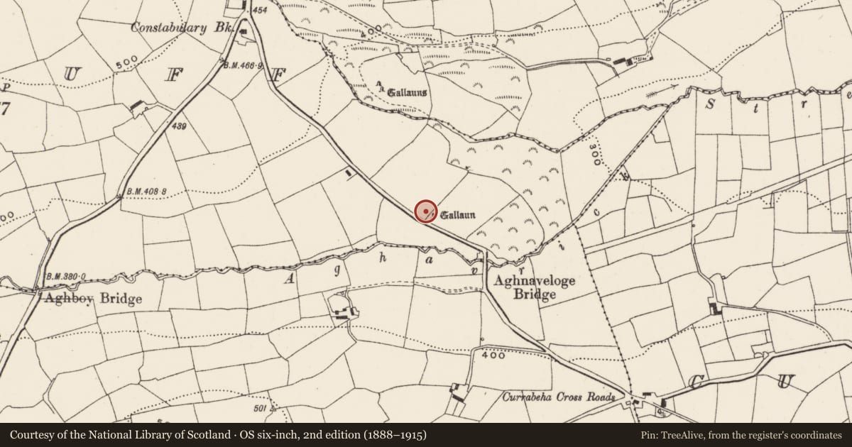 Ordnance Survey six-inch map, 2nd edition (1888–1915) covering the location of Standing stone, Coolduff, County Cork, with a pin at the register's coordinates
