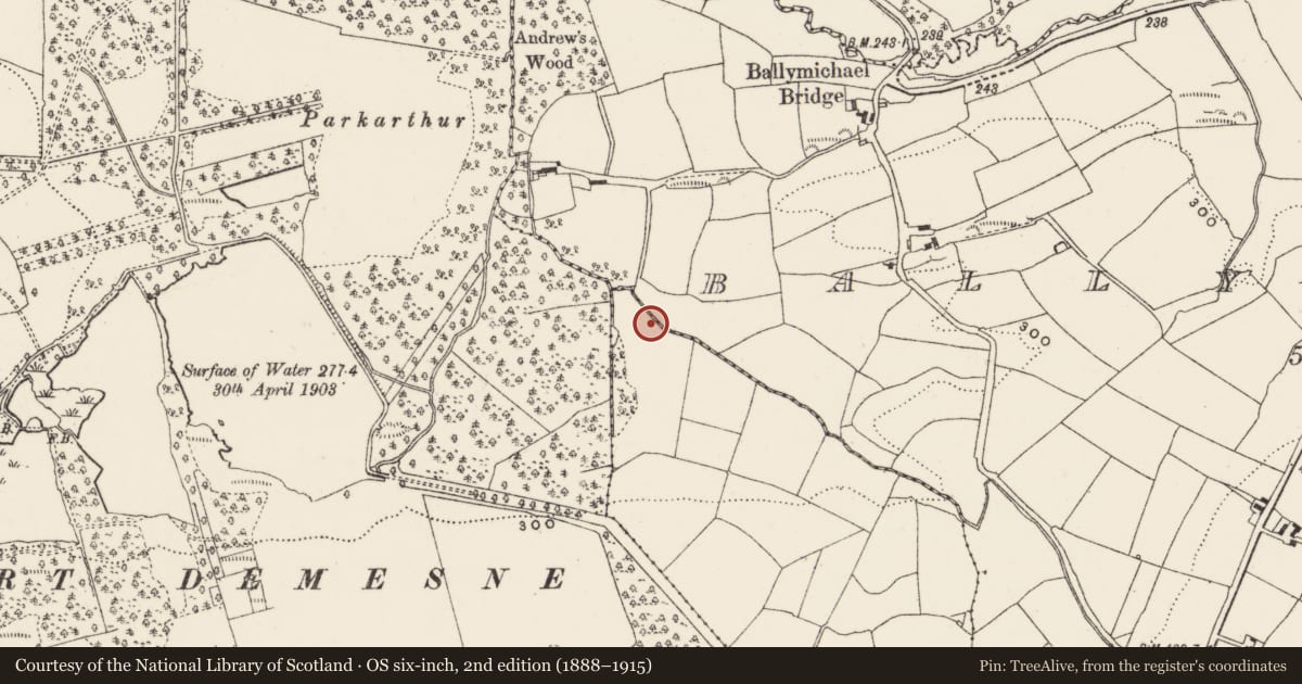 Ordnance Survey six-inch map, 2nd edition (1888–1915) covering the location of Fulacht fia, Ballymichael, County Cork, with a pin at the register's coordinates