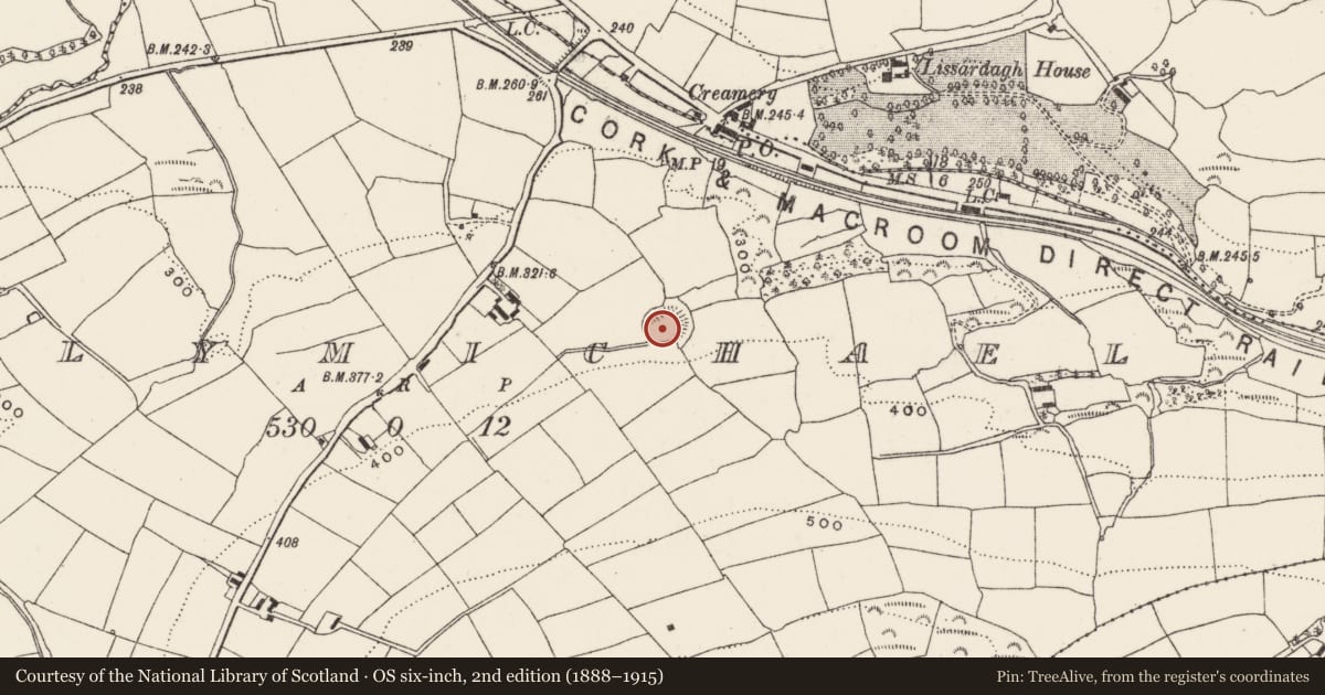 Ordnance Survey six-inch map, 2nd edition (1888–1915) covering the location of Ringfort - rath, Ballymichael, County Cork, with a pin at the register's coordinates