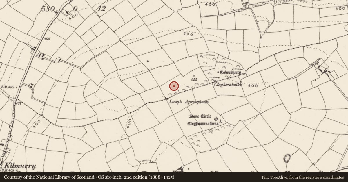 Ordnance Survey six-inch map, 2nd edition (1888–1915) covering the location of Boulder-burial, Ballymichael, County Cork, with a pin at the register's coordinates