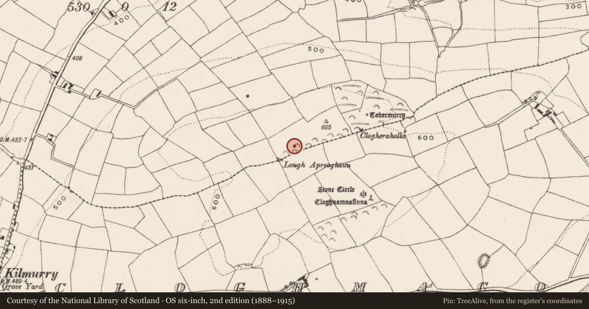 Ordnance Survey six-inch map, 2nd edition (1888–1915) covering the location of Anomalous stone group, Ballymichael, County Cork, with a pin at the register's coordinates