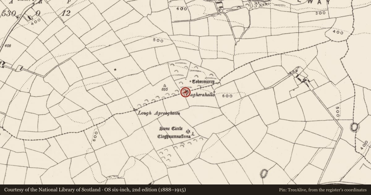 Ordnance Survey six-inch map, 2nd edition (1888–1915) covering the location of Penitential station, Ballymichael, County Cork, with a pin at the register's coordinates