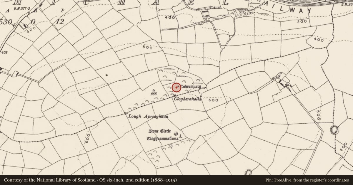 Ordnance Survey six-inch map, 2nd edition (1888–1915) covering the location of Ritual site - holy well, Ballymichael, County Cork, with a pin at the register's coordinates