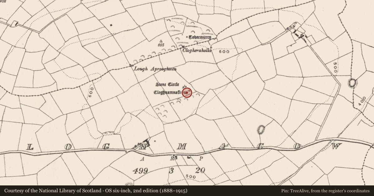 Ordnance Survey six-inch map, 2nd edition (1888–1915) covering the location of Boulder-burial, Cloghmacow, County Cork, with a pin at the register's coordinates