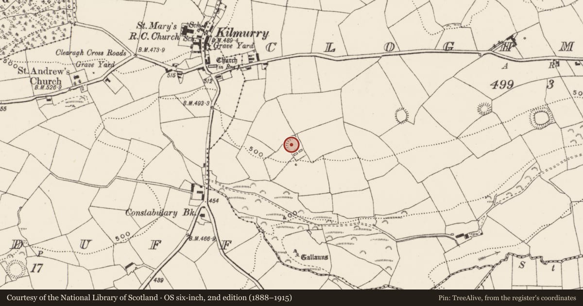 Ordnance Survey six-inch map, 2nd edition (1888–1915) covering the location of Souterrain, Cloghmacow, County Cork, with a pin at the register's coordinates