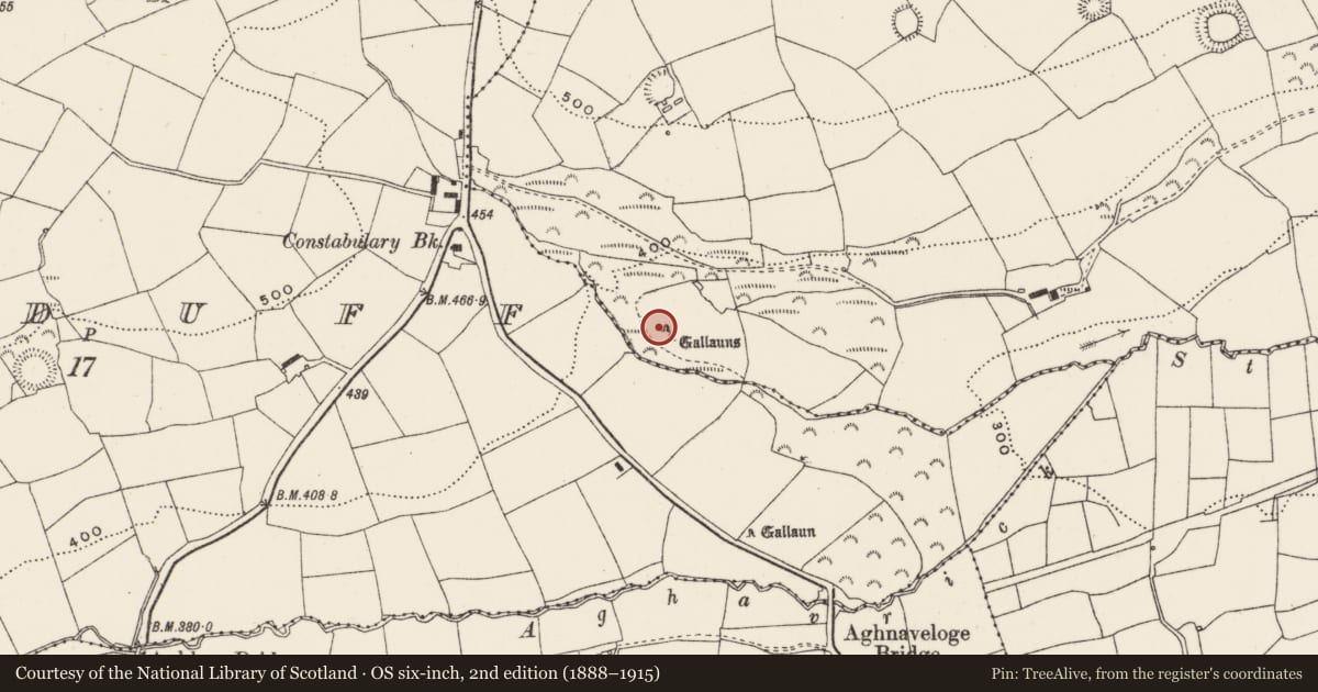 Ordnance Survey six-inch map, 2nd edition (1888–1915) covering the location of Standing stone, Cloghmacow, County Cork, with a pin at the register's coordinates