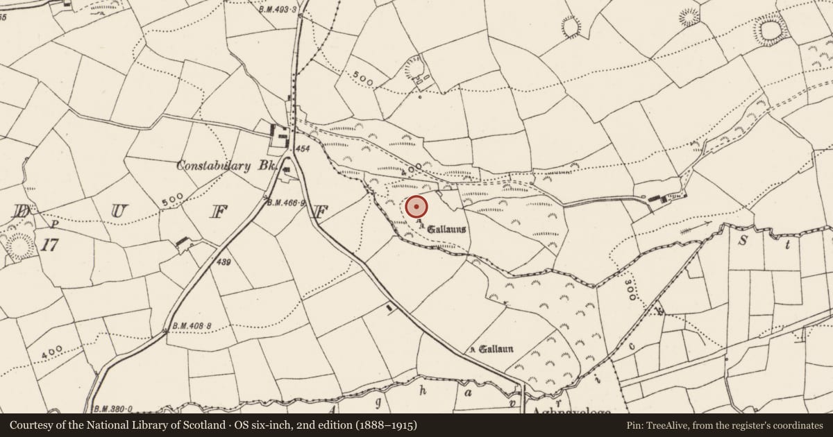 Ordnance Survey six-inch map, 2nd edition (1888–1915) covering the location of Anomalous stone group, Cloghmacow, County Cork, with a pin at the register's coordinates