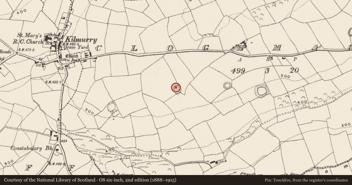 Ordnance Survey six-inch map, 2nd edition (1888–1915) covering the location of Ringfort - rath, Cloghmacow, County Cork, with a pin at the register's coordinates