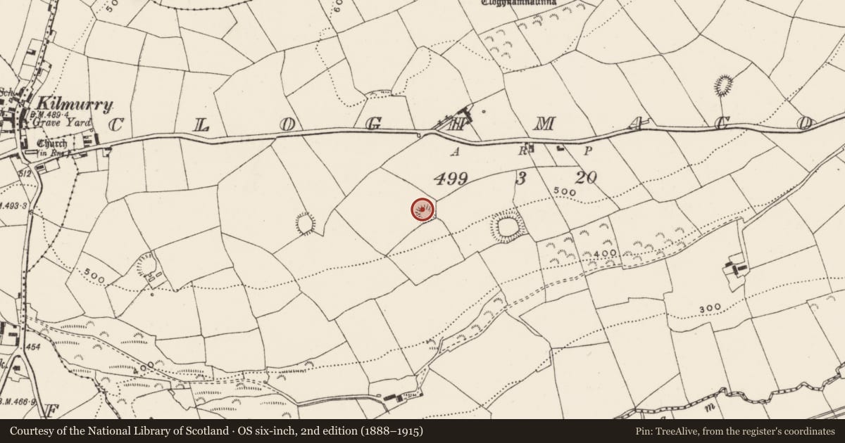 Ordnance Survey six-inch map, 2nd edition (1888–1915) covering the location of Ringfort - rath, Cloghmacow, County Cork, with a pin at the register's coordinates