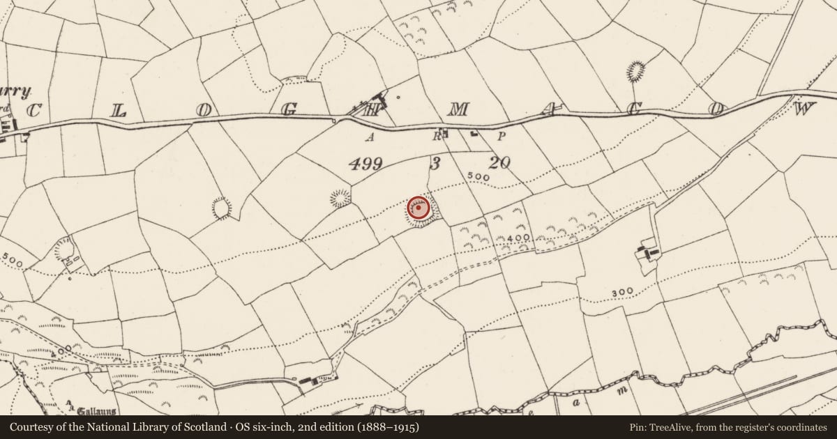 Ordnance Survey six-inch map, 2nd edition (1888–1915) covering the location of Ringfort - rath, Cloghmacow, County Cork, with a pin at the register's coordinates