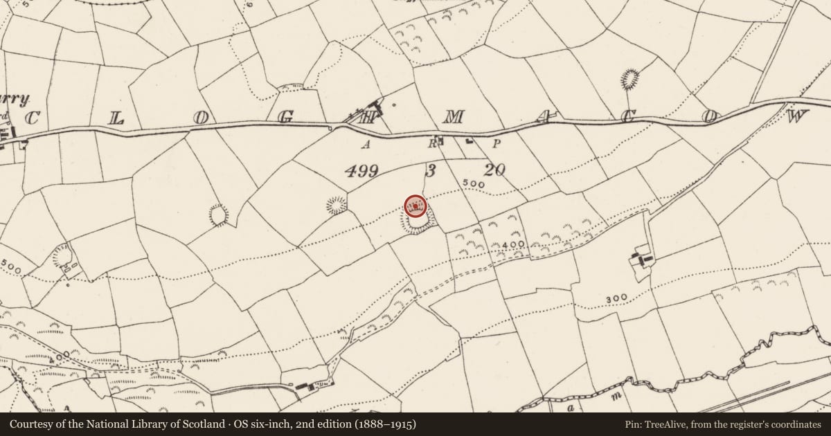 Ordnance Survey six-inch map, 2nd edition (1888–1915) covering the location of Souterrain, Cloghmacow, County Cork, with a pin at the register's coordinates