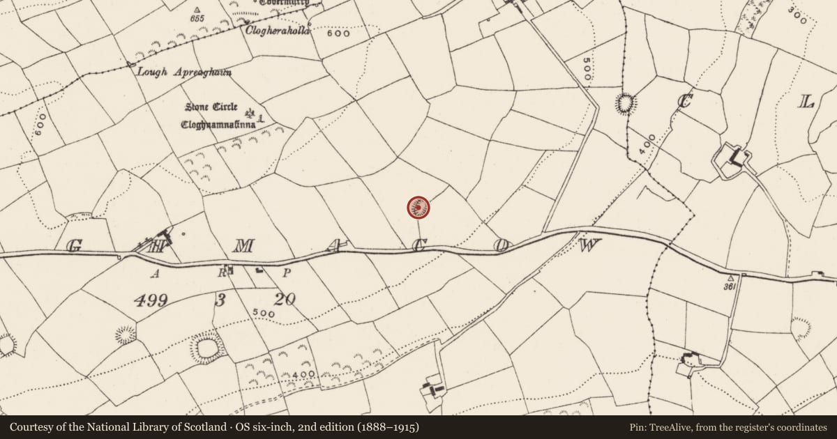 Ordnance Survey six-inch map, 2nd edition (1888–1915) covering the location of Ringfort - rath, Cloghmacow, County Cork, with a pin at the register's coordinates