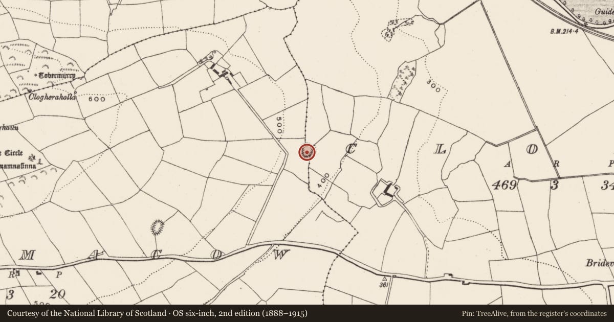 Ordnance Survey six-inch map, 2nd edition (1888–1915) covering the location of Ringfort - rath, Clodah, Cloghmacow, County Cork, with a pin at the register's coordinates
