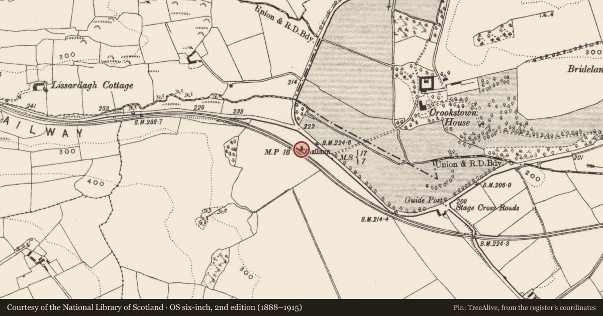Ordnance Survey six-inch map, 2nd edition (1888–1915) covering the location of Standing stone, Clodah, County Cork, with a pin at the register's coordinates