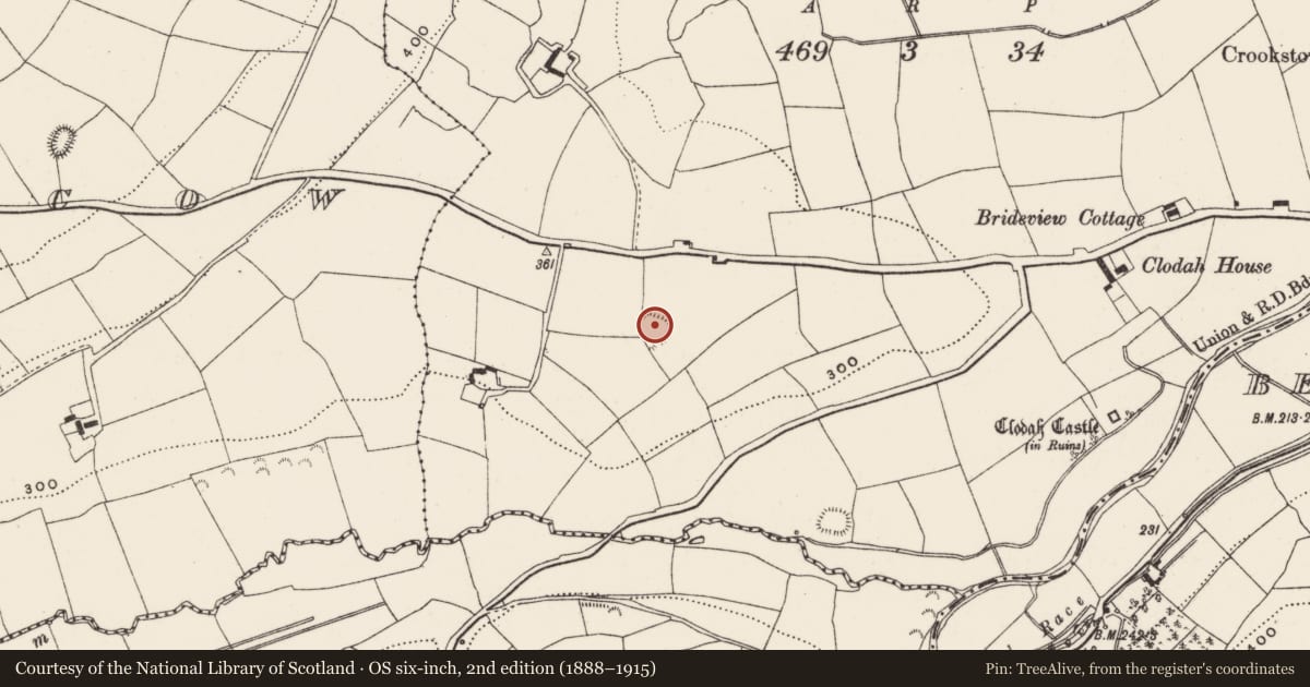 Ordnance Survey six-inch map, 2nd edition (1888–1915) covering the location of Ringfort - rath, Clodah, County Cork, with a pin at the register's coordinates