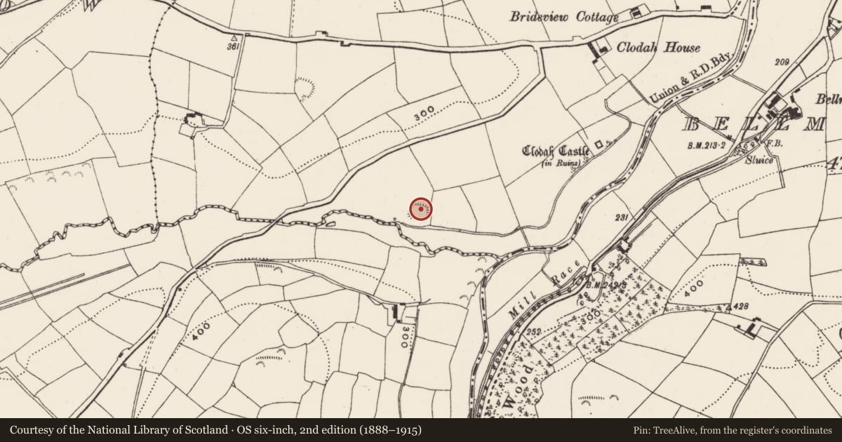 Ordnance Survey six-inch map, 2nd edition (1888–1915) covering the location of Moated site, Clodah, County Cork, with a pin at the register's coordinates